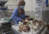 "Gaza: Premature Infants Evacuated from Besieged Shifa Hospital, While Trauma Patients Still in Critical Situation"