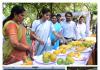 FRS Sangareddy's Mango Show 2024 Draws Enthusiastic Response: District Collector Kranti Valluru visits and explores various varieties of mangoes