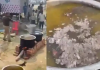 Police Officer Suspended for Adding Ash to Maha Kumbh Feast